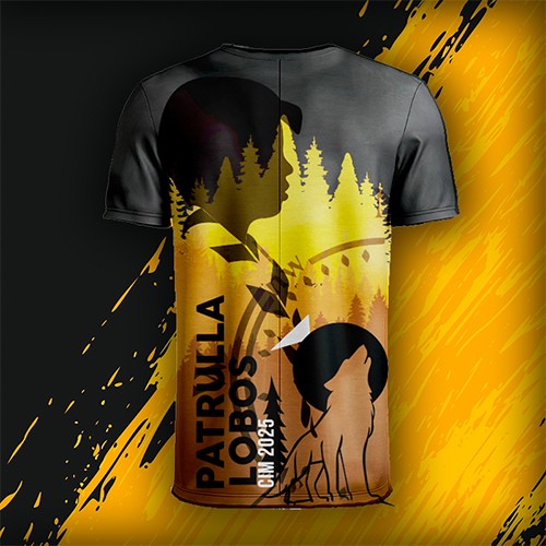 POST PLAYERA SCOUTS 3 2025 1 Vasos xv