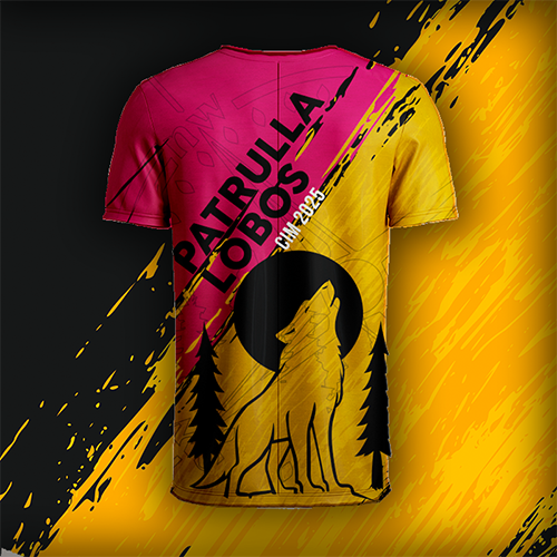 POST PLAYERA SCOUTS 3 2025 4